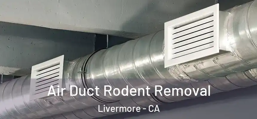 Air Duct Rodent Removal Livermore - CA