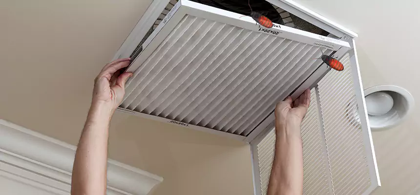Preventive Cockroach-Proofing for Ducts in Livermore