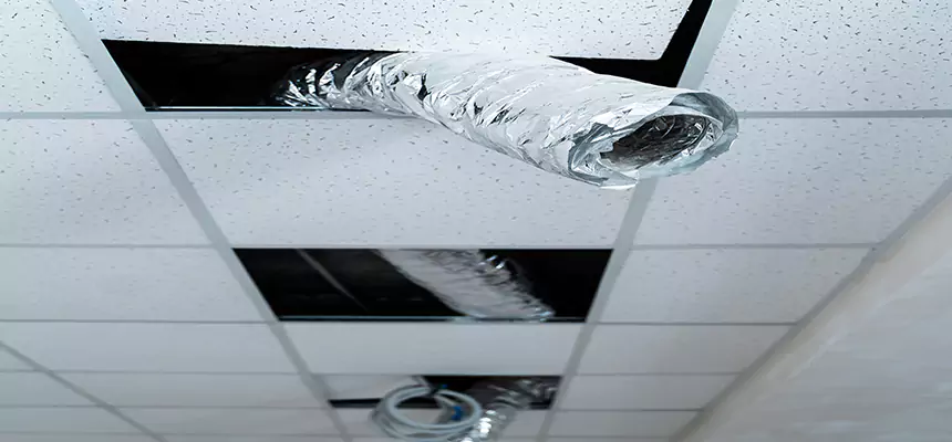 Our Air Duct Pet Hair Removal Services in Livermore, CA