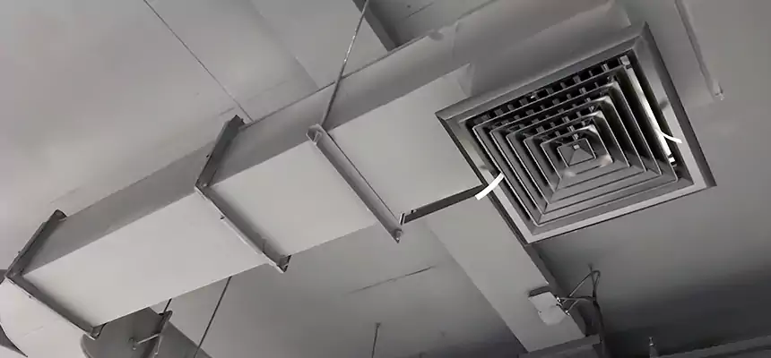 Restorative Allergy Relief Vent Cleaning – Coil, Blower & Housing Detail in Livermore