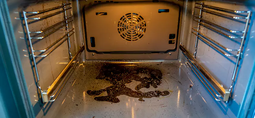 Our Dryer Vent Mold Cleaning Services in Livermore, CA