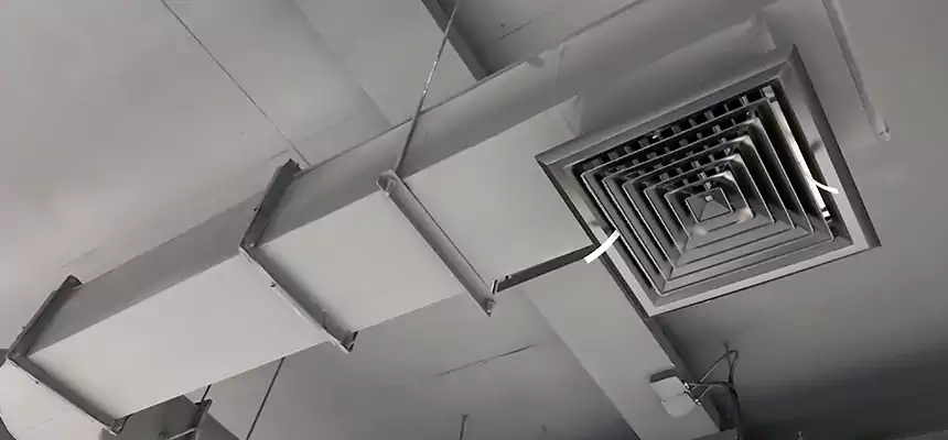 Our Pest Removal From Ducts Services in Livermore, CA