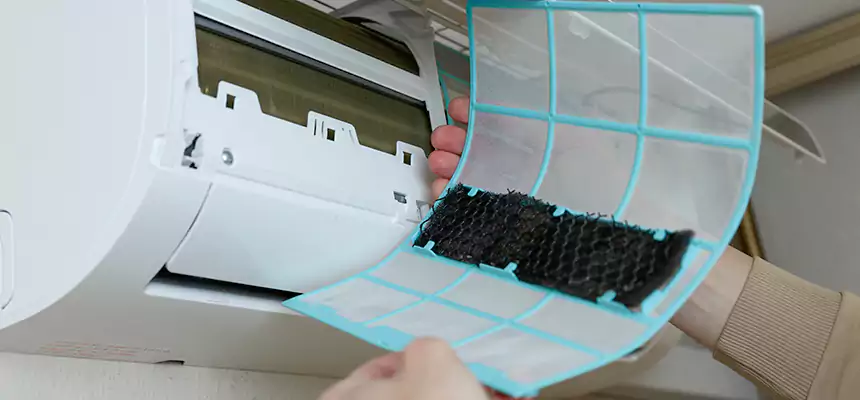 Gentle Ductwork Odor-Control Pet Dander Duct Cleaning in Livermore, CA