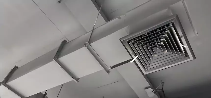 Our Rodent Droppings In Vents Services in Livermore, CA