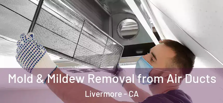  Mold & Mildew Removal from Air Ducts Livermore - CA