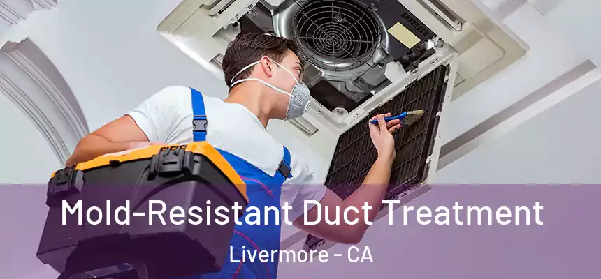 Mold-Resistant Duct Treatment Livermore - CA