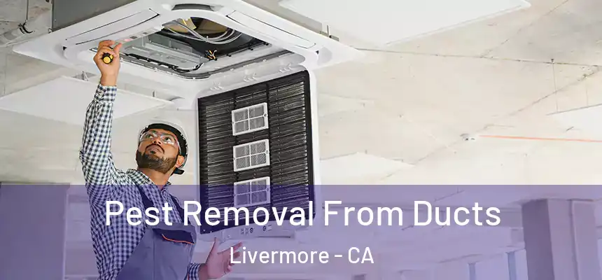  Pest Removal From Ducts Livermore - CA