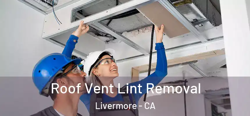 Roof Vent Lint Removal Livermore - CA