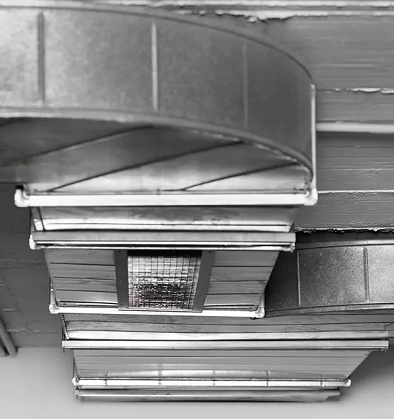 Professional Air Duct Pest Removal in Livermore, CA