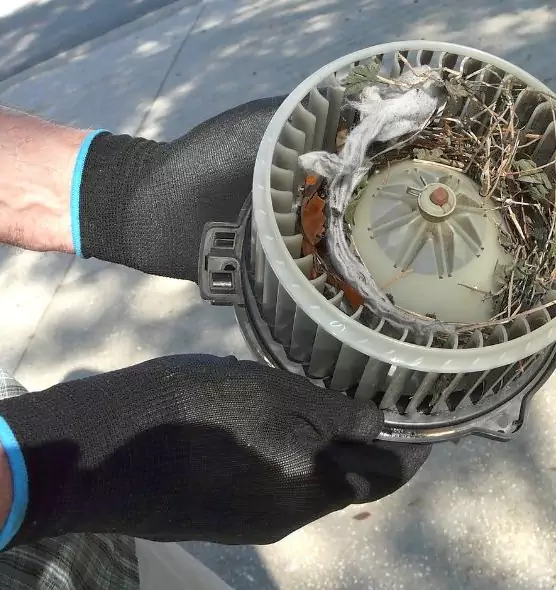 About Air Duct Rat Removal in Livermore, CA