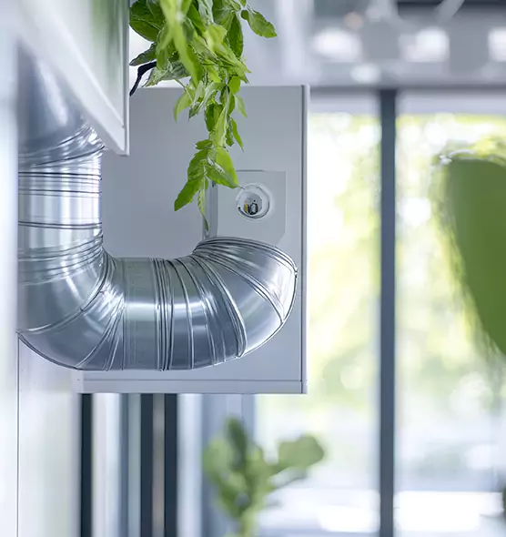 Professional Eco-Friendly Duct Cleaning Services in Livermore, CA