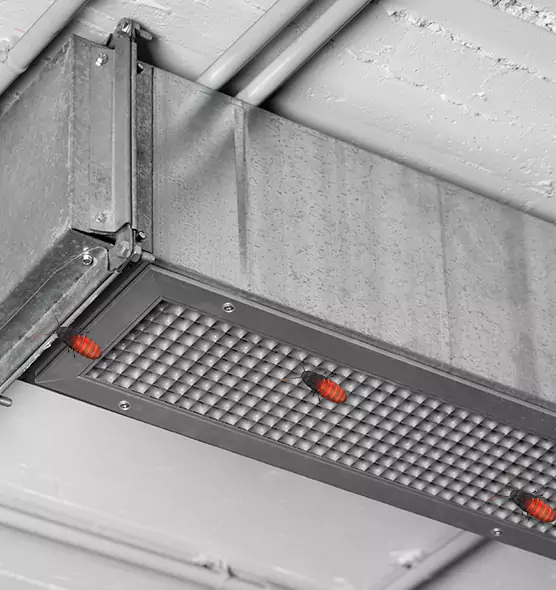 Affordable Insect Removal from Air Ducts in Livermore, CA