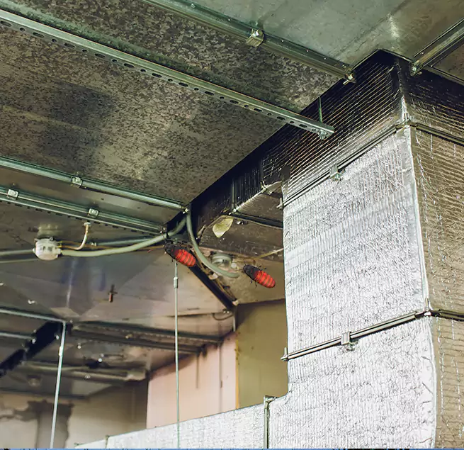 Why Homeowners & Businesses Trust Us in Livermore, CA?