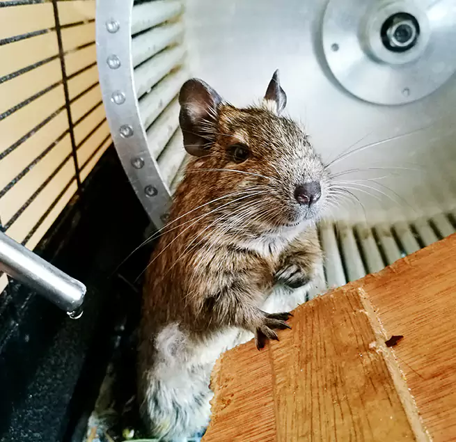 Why Homeowners & Businesses Trust Us Livermore, CA