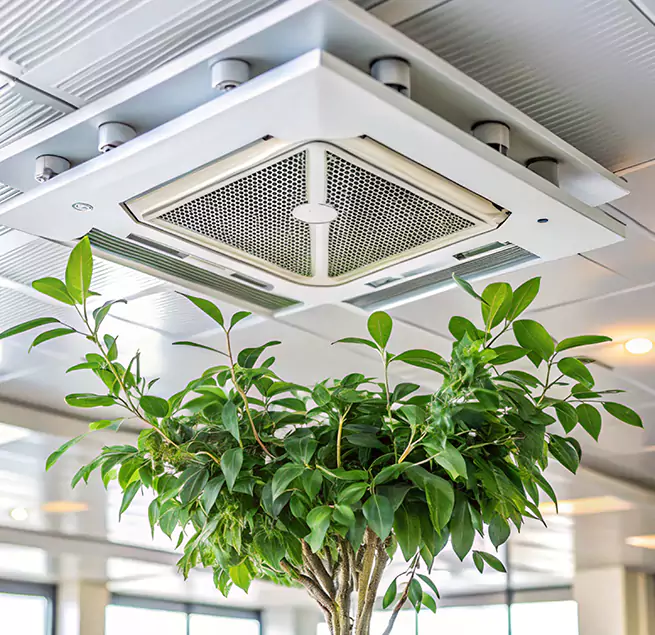 Why Homeowners & Businesses Trust Us in Livermore, CA