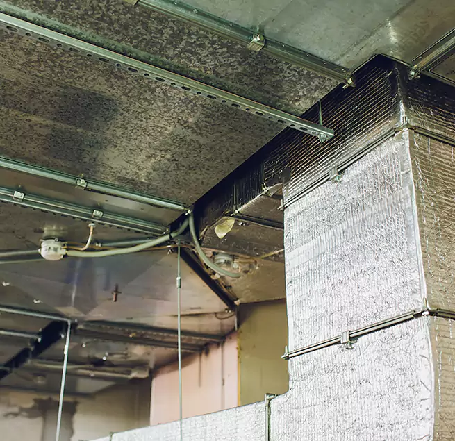 Why Homeowners & Businesses Trust Us in Livermore, CA?